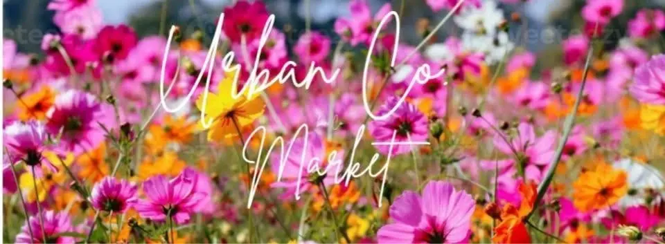 Urban Co. Markets