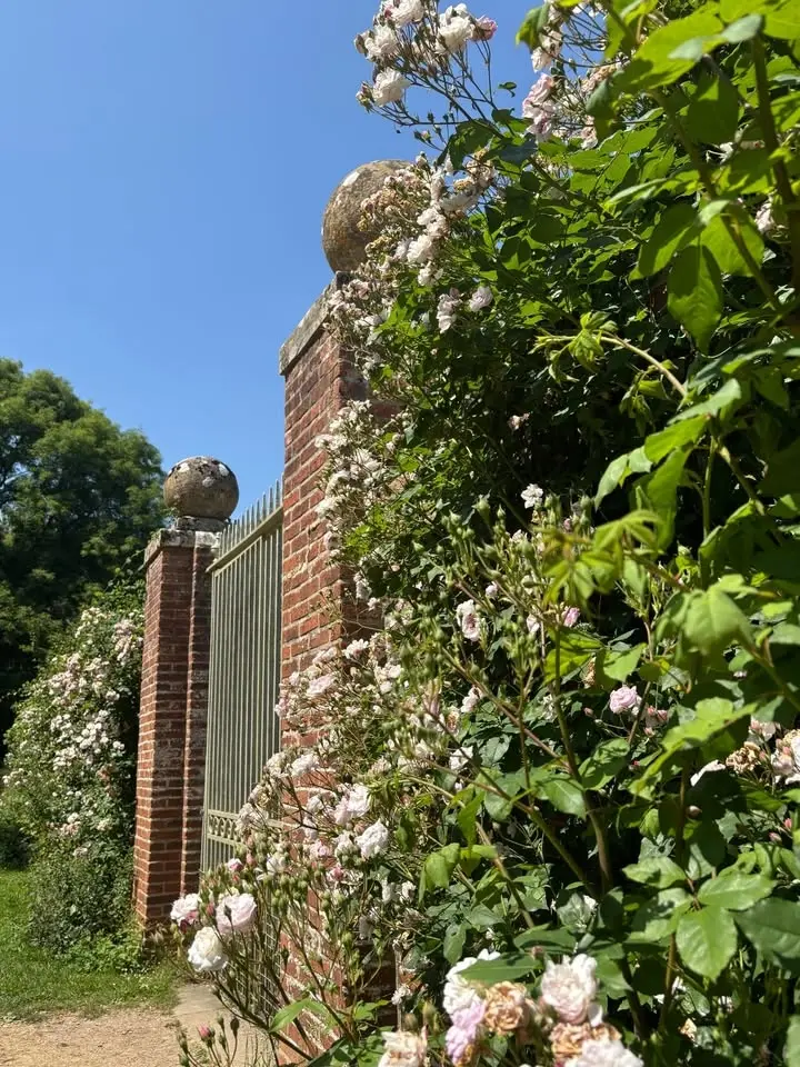 Lydiard Garden Party