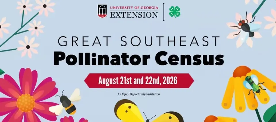Great Southeast Pollinator Census (Day 2)