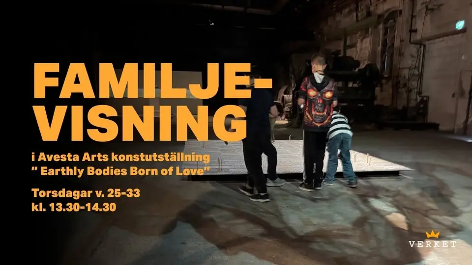 Familjevisning: Avesta Art