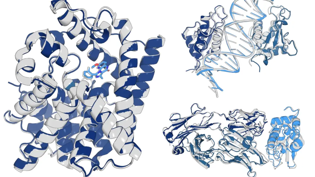 OpenFold and the Future of Open Foundation Models for Biomolecular Modeling