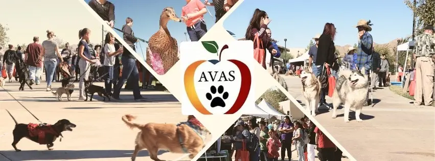 19th Annual Paws n' Claws Pet Fair