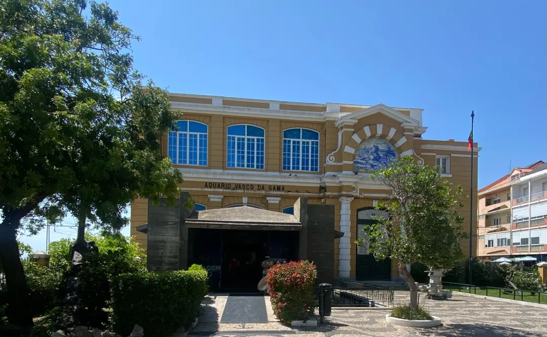 Celebrate Navy Day with Free Aquarium Visit! ๐ ๐