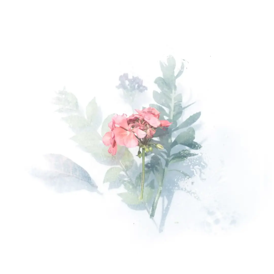Watercolor w/ Jemimah