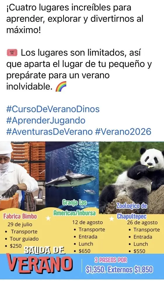 Curso de Verano