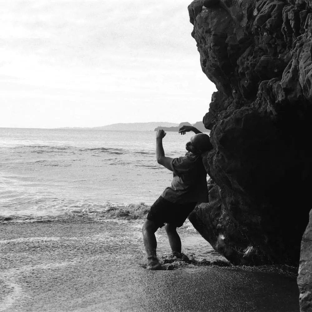 Ecologies in Motion