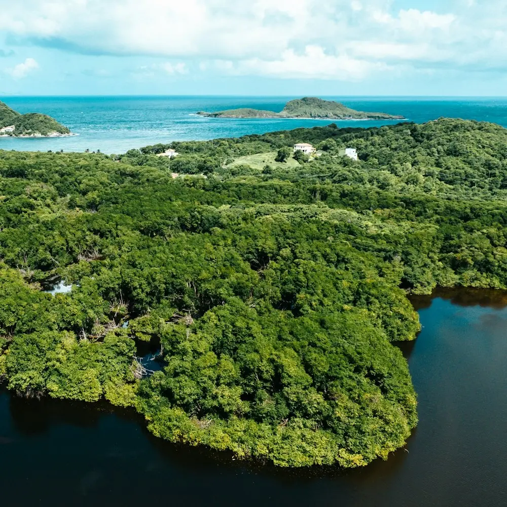 Cerulean @ Ecosperity: AI × Nature: Exponential Solutions for the Race to 2030