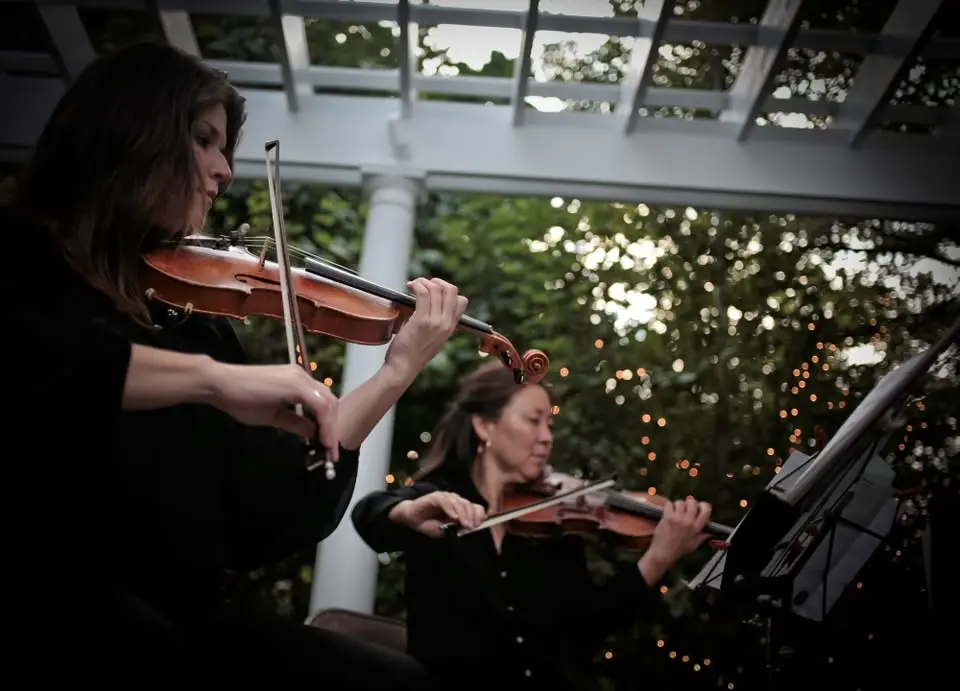 Chamber Music Series