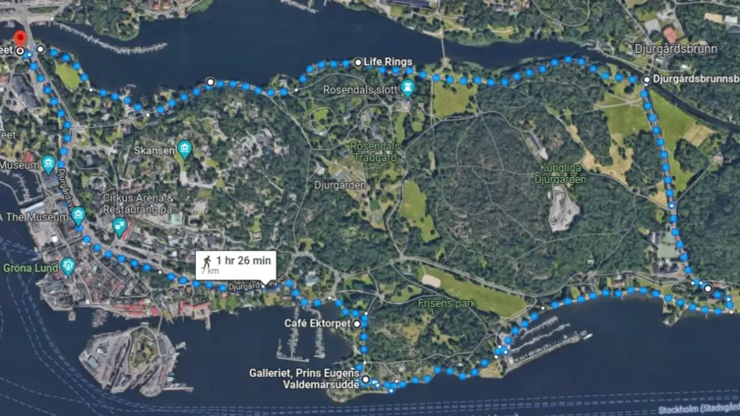 🌳🚶🏽♂️🚶♀️🚶🏼♀️🚶 Walk & fika at Djurgården🤩