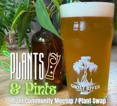 Plants and Pints