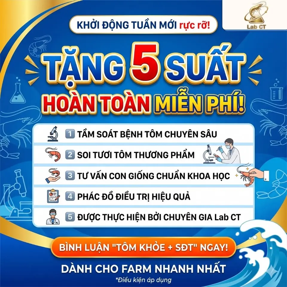 Tư Vấn Giải Pháp Lab Miễn Phí
