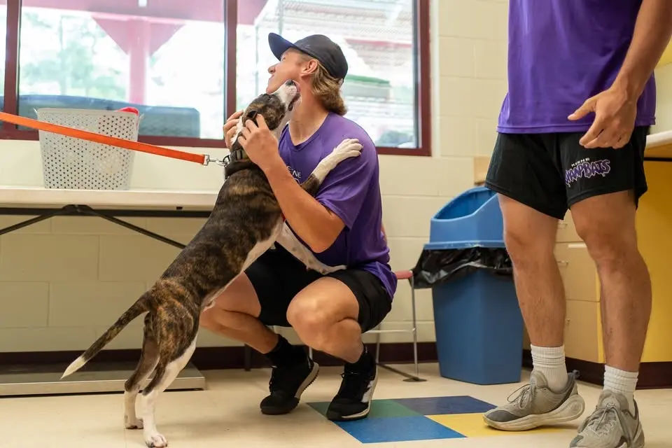Happy Tails Night by Monadnock Humane Society