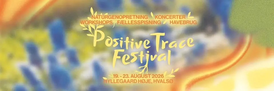 Positive Trace Festival 2026