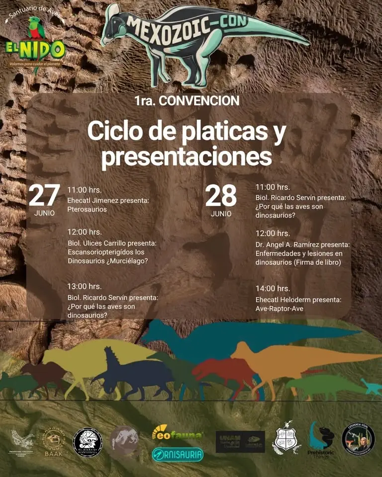 Conferencia: ¿Por qué las aves son dinosaurios🦖?