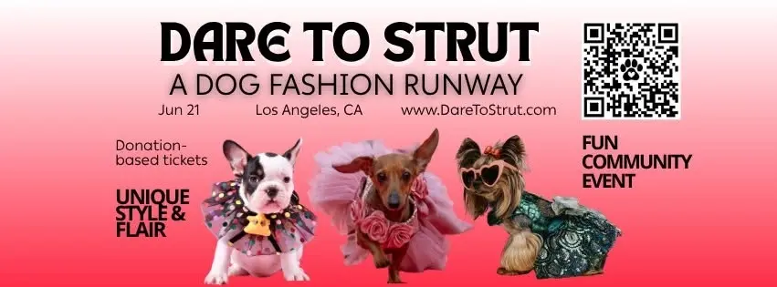 🐾✨ Dare to Strut LA Dog Fashion Runway Show ✨🐾