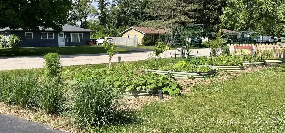 Urban Agroforestry - a look at an an urban food forest 