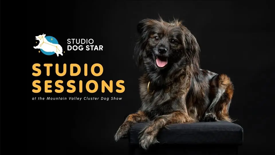 Studio Sessions at the Mountain Valley Cluster Dog Show