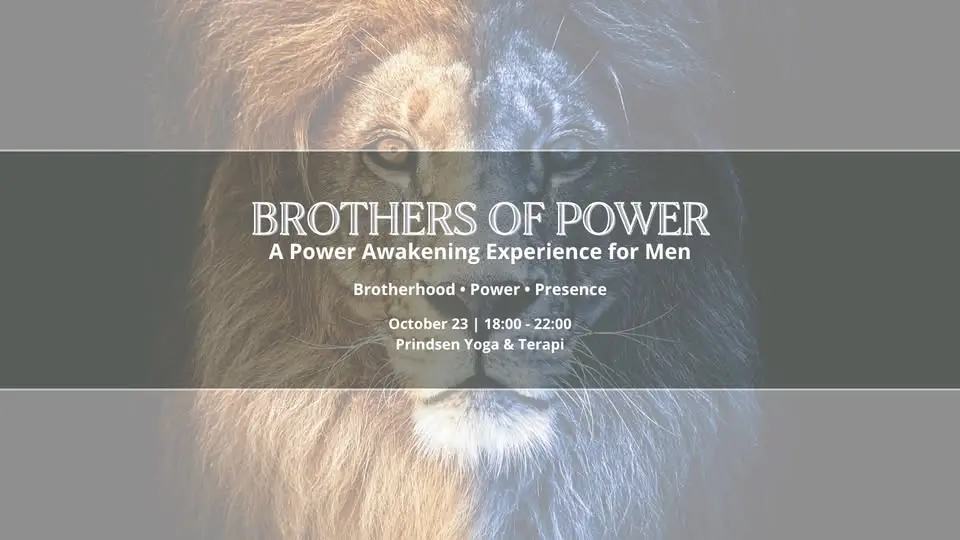 BROTHERS OF POWER: A Power Awakening Experience