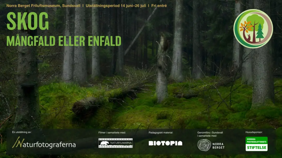 Utställningen Skog – Mångfald eller enfald