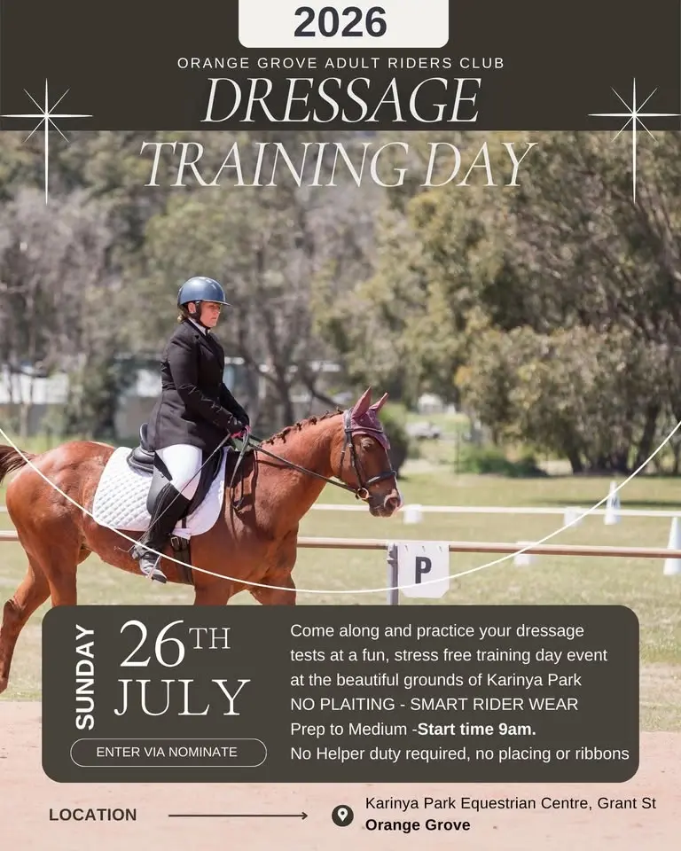 Orange Grove Dressage Training Day 