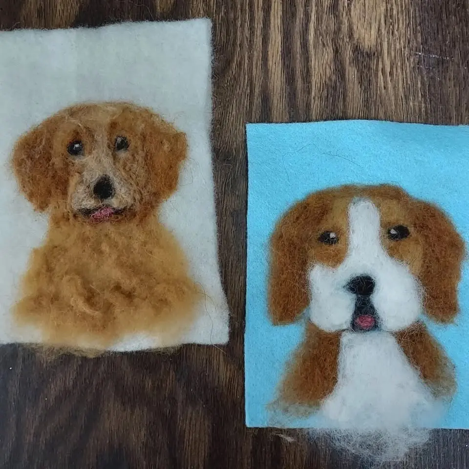 Needle-felting 2D Pet Portrait Art Class