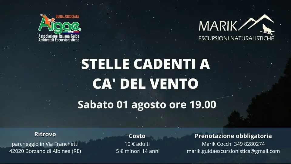 Stelle cadenti a Cà del Vento