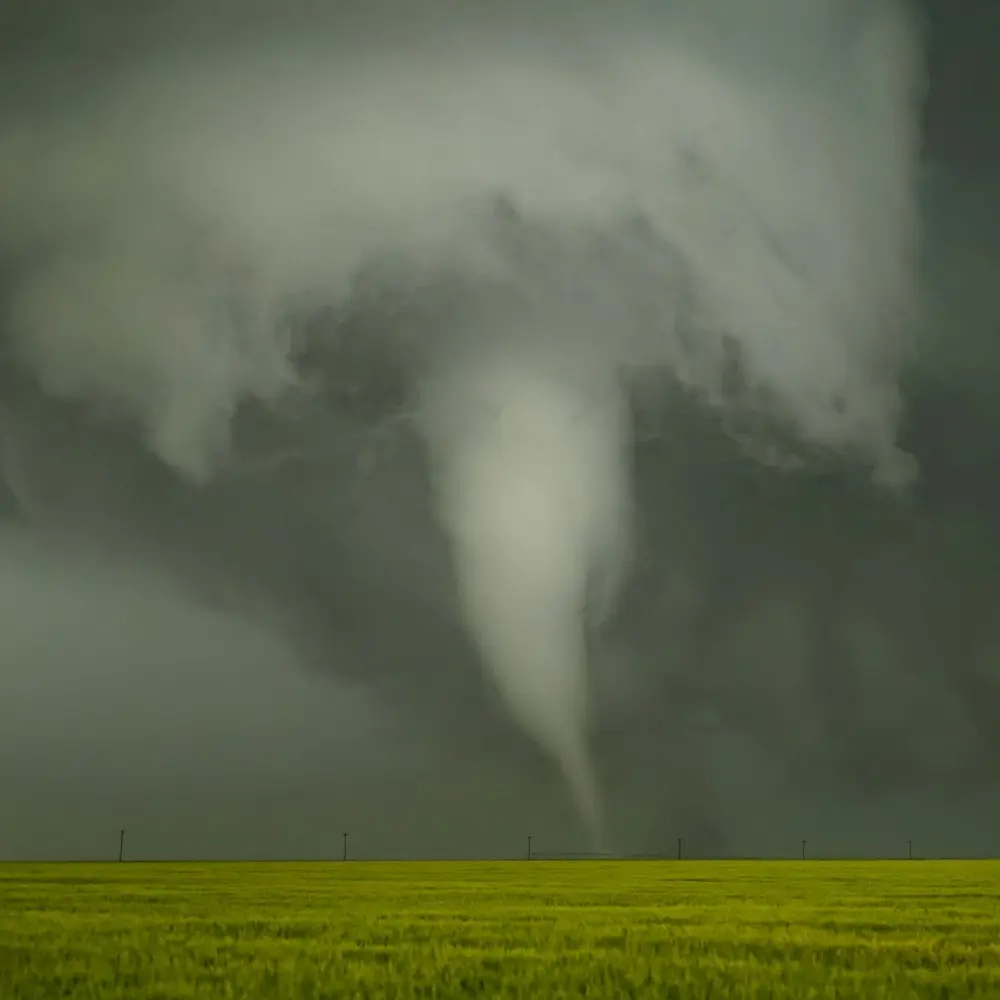 NATURE TECH FOR INSURANCE Powered by Pemberton