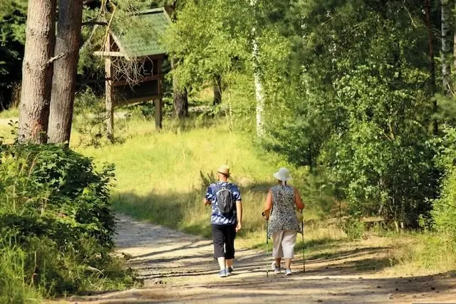 Sommarpromenad till Lill-Jansskogen