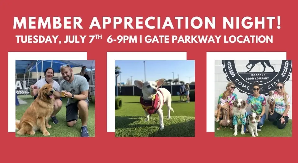 Member appreciation night!