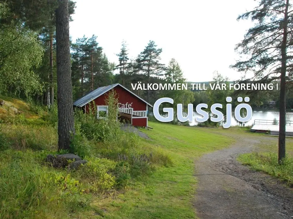 Gussjödagen med Bakluckeloppis