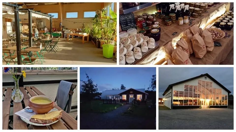 Kvarnå Soppfestival - Skördemarknad