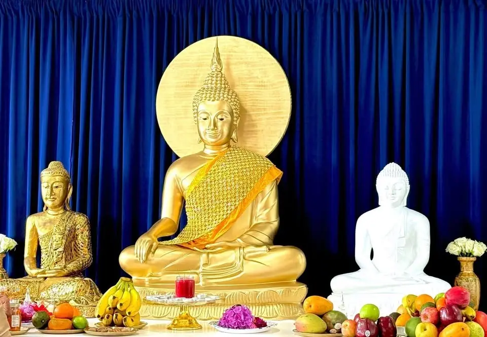 8 Days Vipassana Meditation Courses