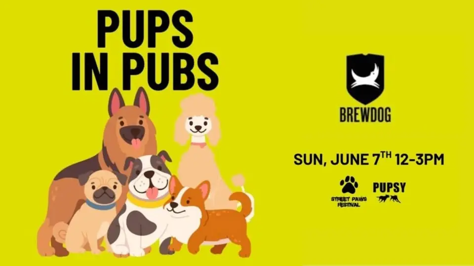 Pups in Pubs - South Eveleigh
