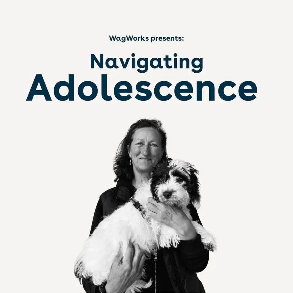 Navigating Adolescence Talk