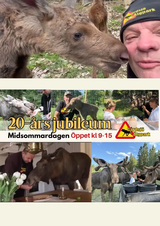 20-års kalas på Gårdsjö Älgpark - Bröderna Brööl, Trubadur, fiskedamm mm.
