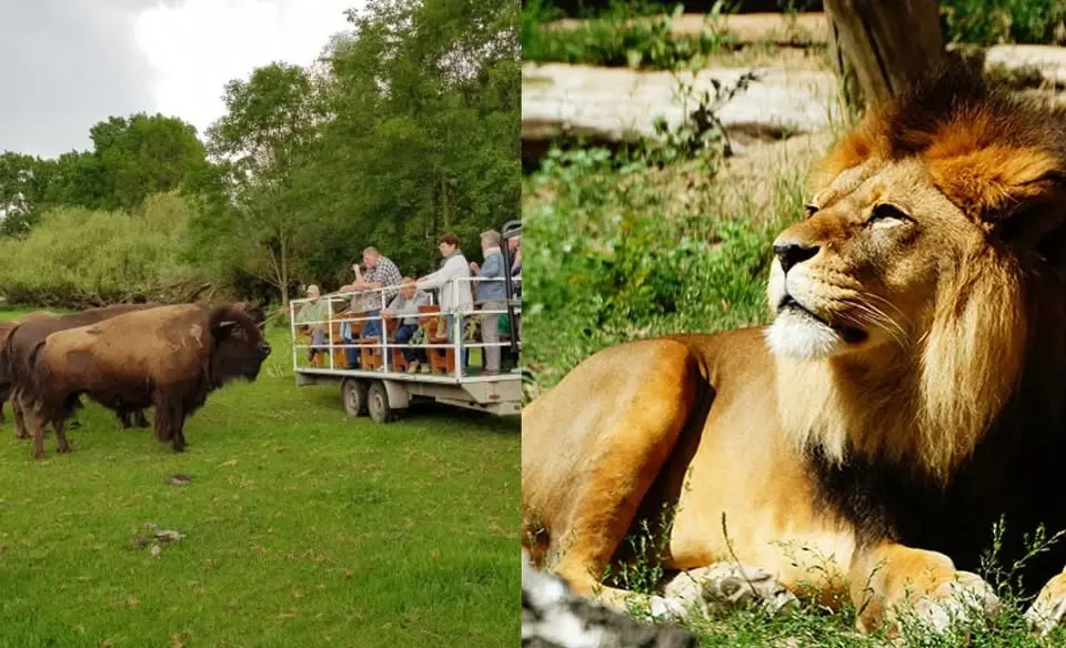 Tagesbusfahrt zur Wildfarm in Schenkenberg und dem Tierpark Ueckermünde