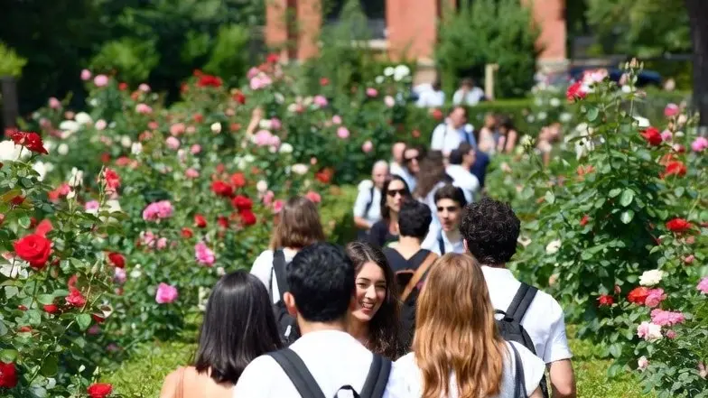 🌹 Una Passeggiata tra Rose, Segreti e Ombre di Roma