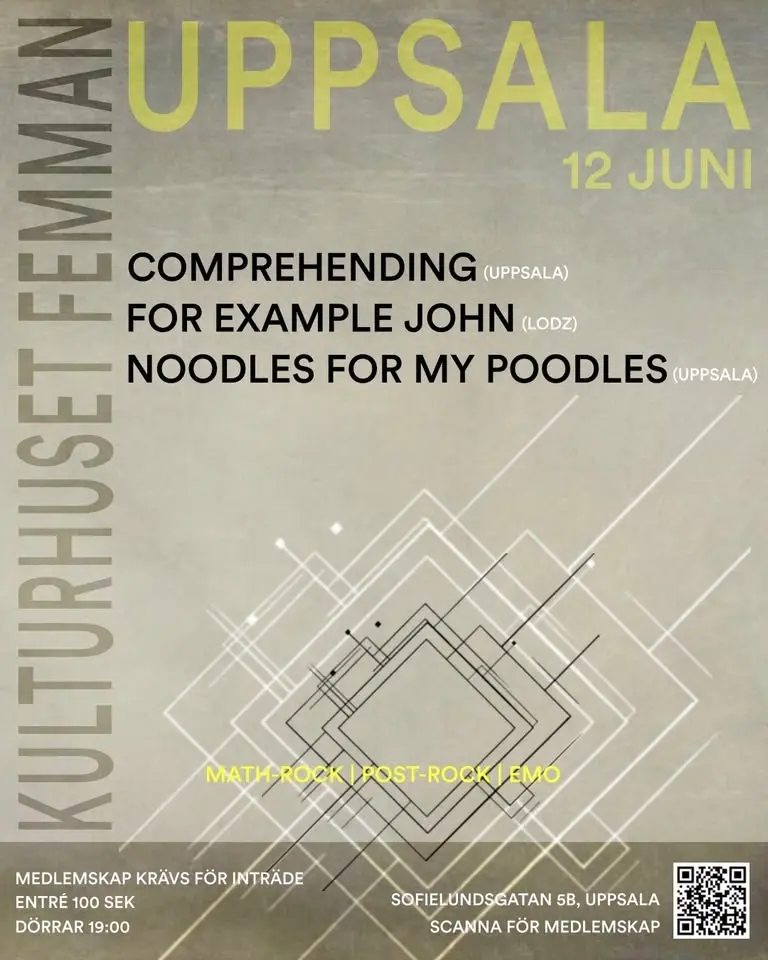 COMPREHENDING| FOR EXAMPLE JOHN | NOODLES FOR MY POODLES | FEMMAN UPPSALA 12.06