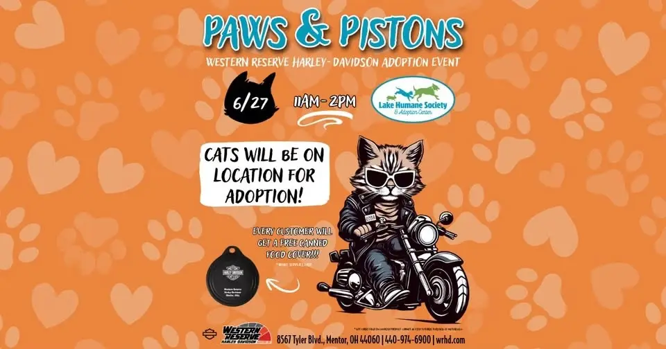 Paws & Pistons