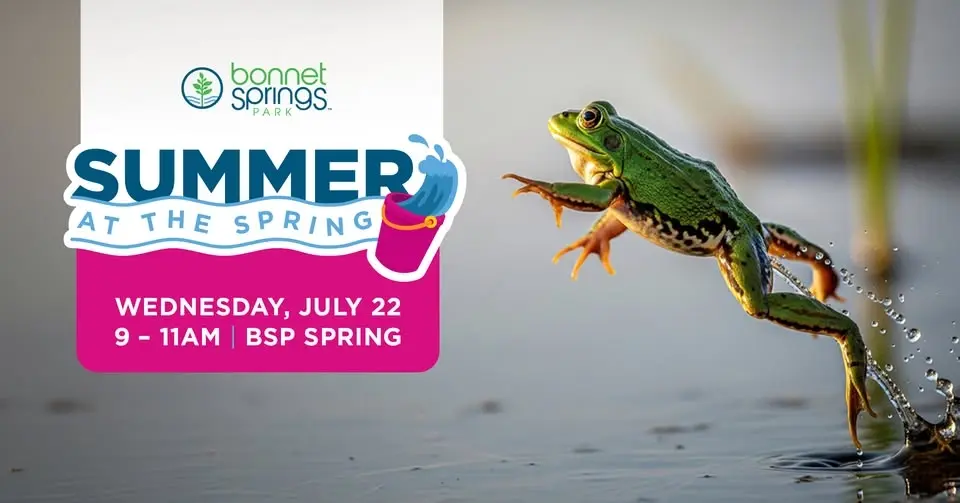 Summer at the Spring