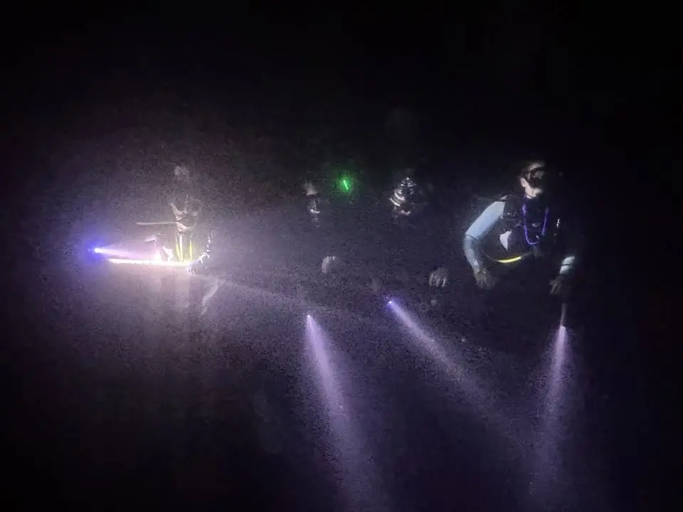 Night Dive Party