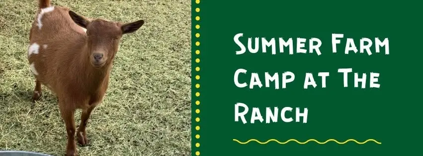 Summer Farm Camp at The Ranch Week 8