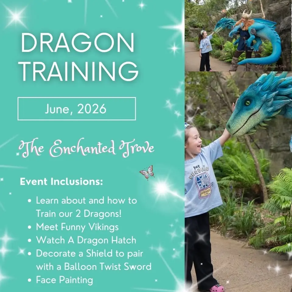 Dragon Training with Vikings!