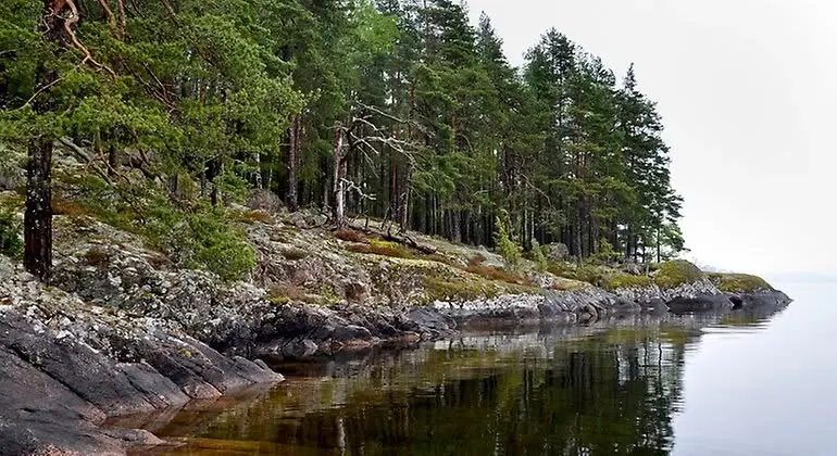 Guidning och vandring i Sjöviks naturreservat