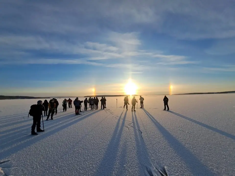 Svampvandring på Andersön tillsammans med Studiefrämjandet