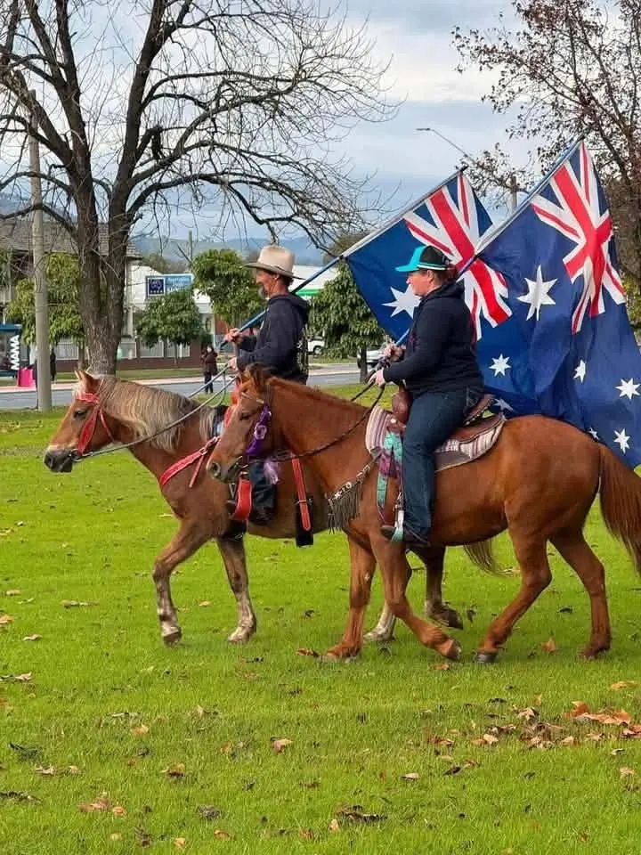 Stop the bullets brumby rally