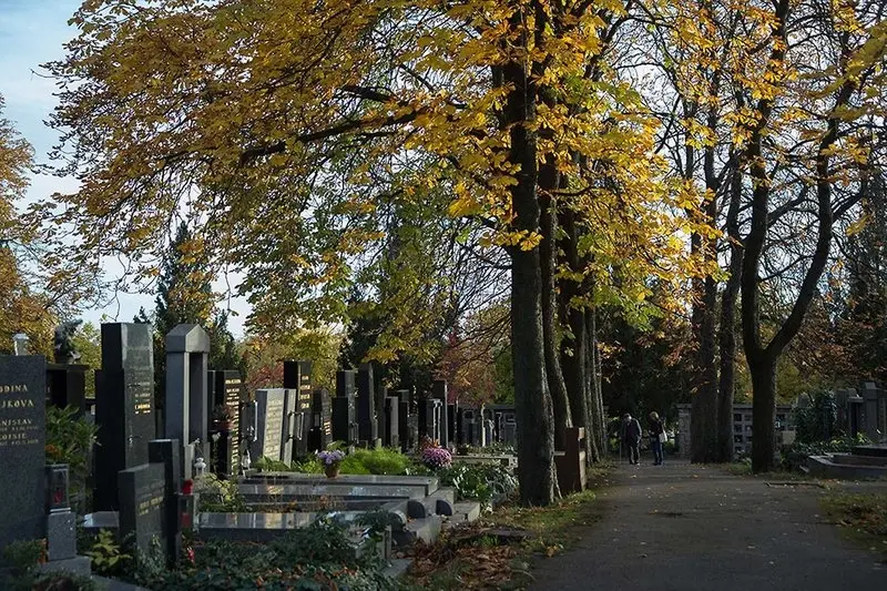 Walk through the Vinohrady Cemetery