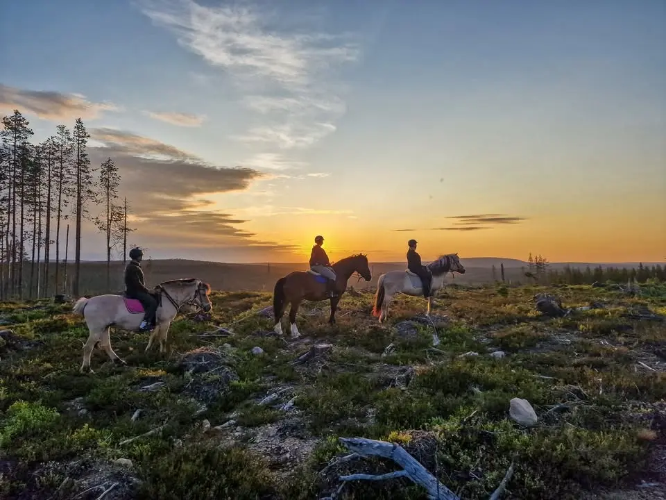 Lapland Horseback Retreat – 3-Day Summer Getaway