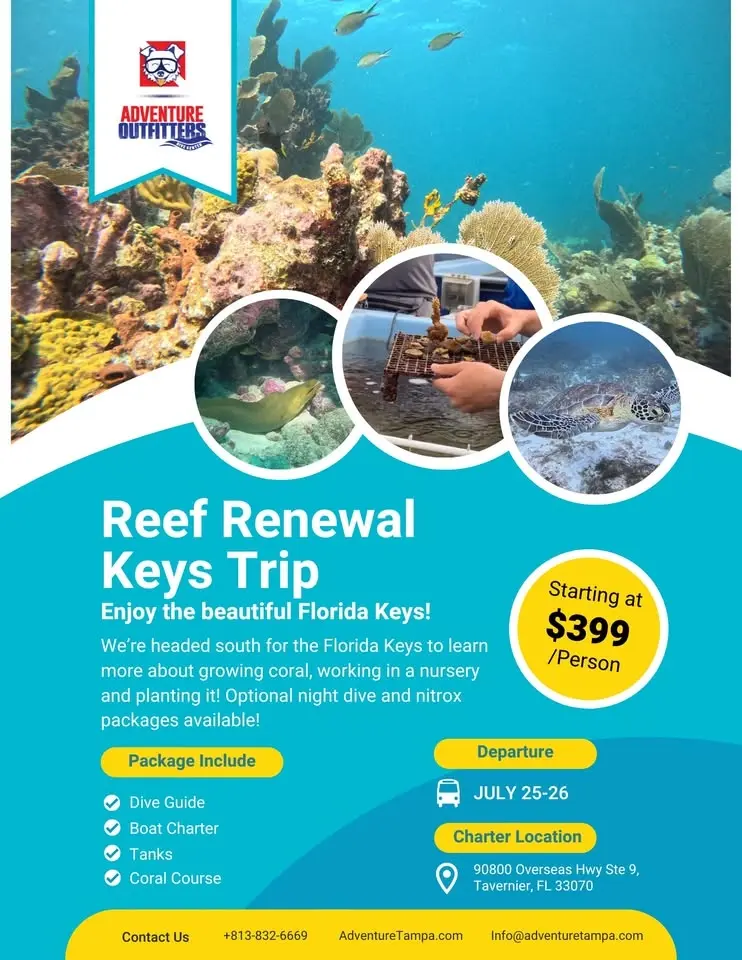 Reef Renewal Keys Trip