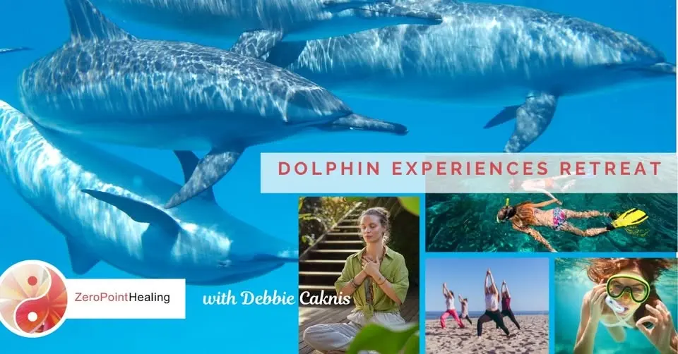✨ Immerse Yourself in this Retreat: 5-Night holistic Dolphin experiences ✨